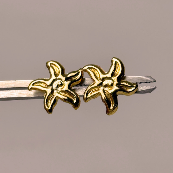 Topos Estrella Caracol