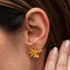 Aretes Orquídea Jumellea