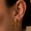 Aretes Constelación