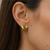 Aretes Estrella