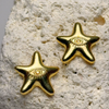 Aretes Estrella Mística