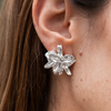 Aretes Orquídea Cattleya