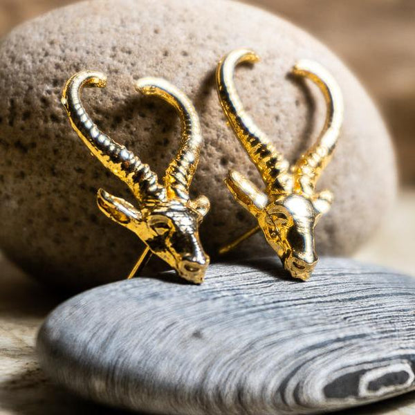 Aretes Gacela