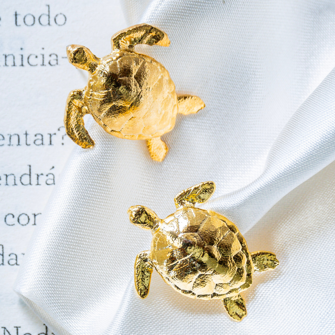 Aretes Tortuga Marina