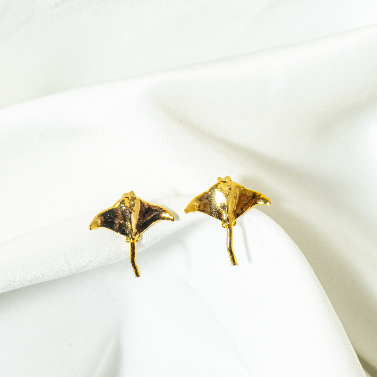 Topos Mantarraya