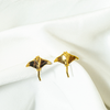Topos Mantarraya
