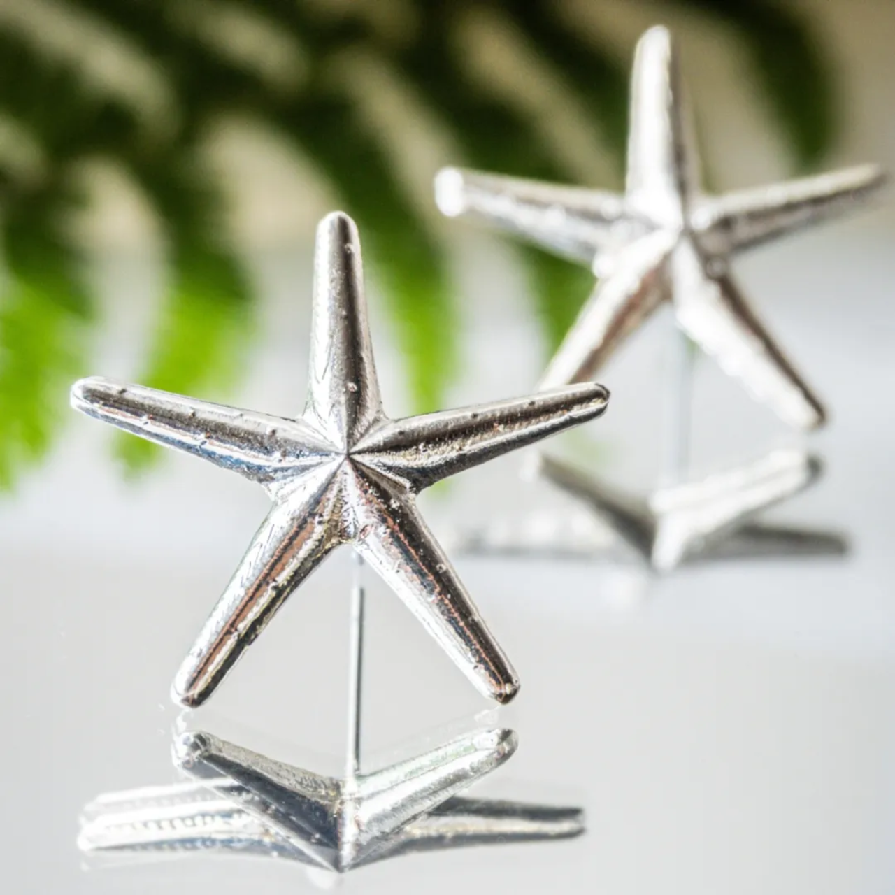 Aretes Estrella de Mar