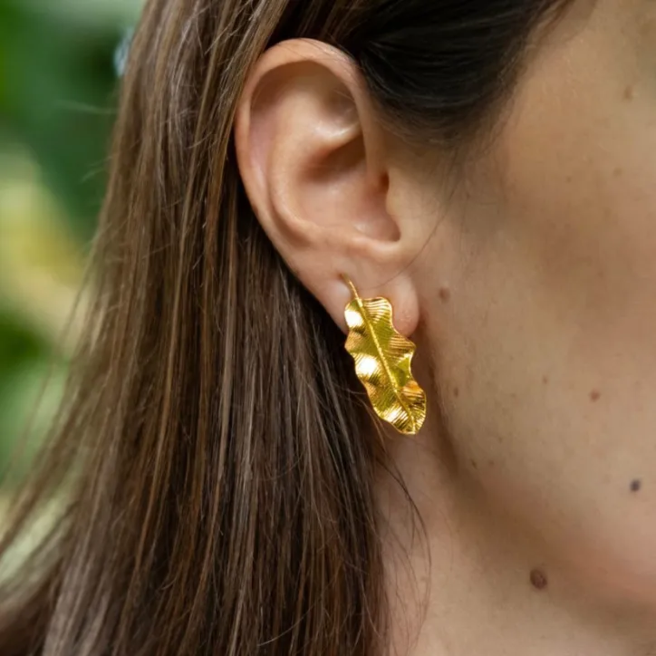 Aretes Viaje al bosque