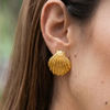 Aretes Concha