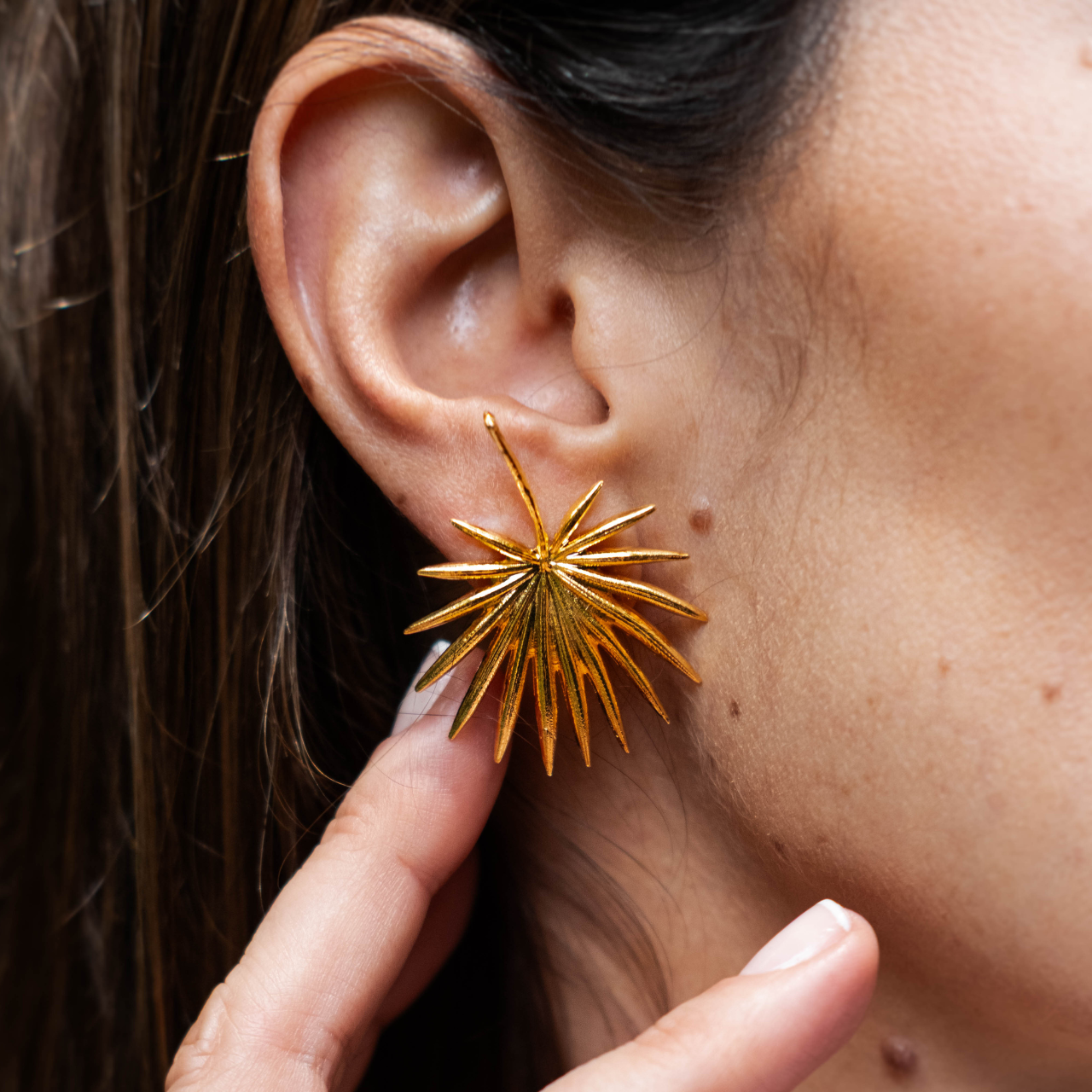 Aretes Brisa Silvestre