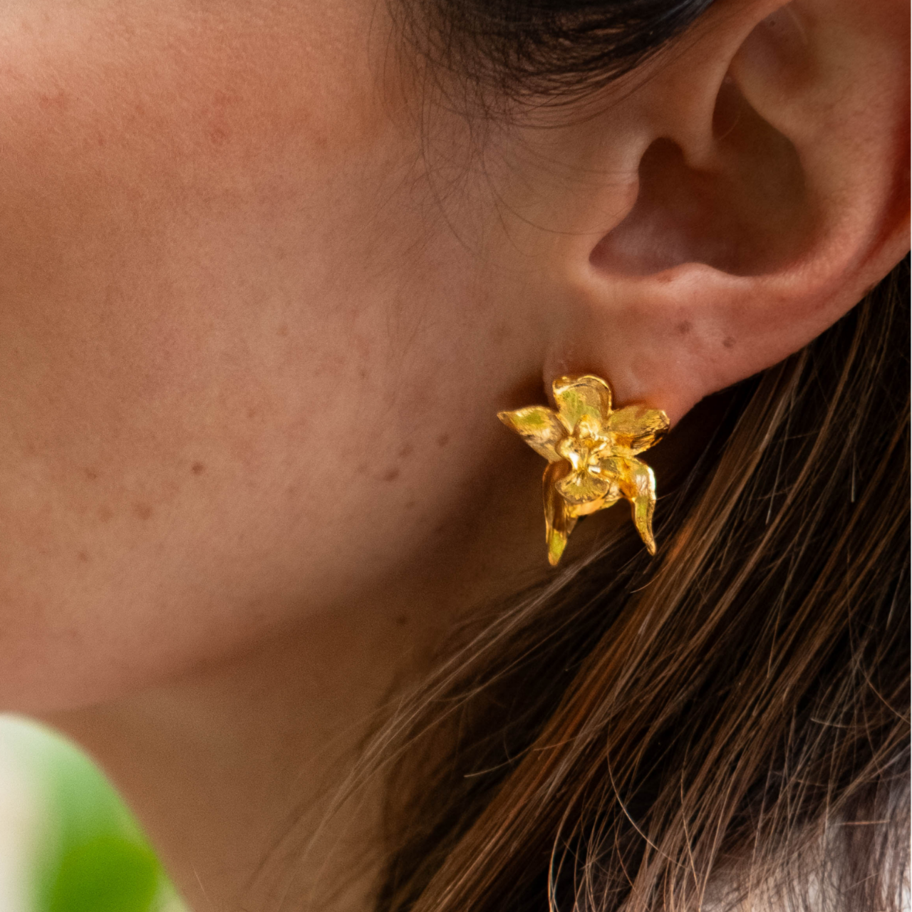 Aretes Orquídea Cymbidium