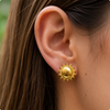 Aretes Sol