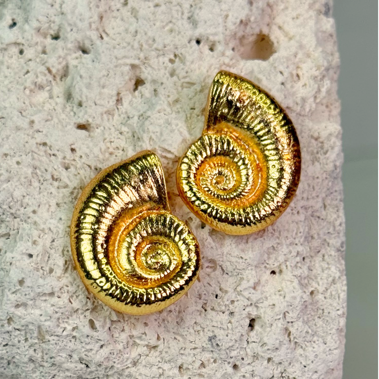 Aretes Caracola