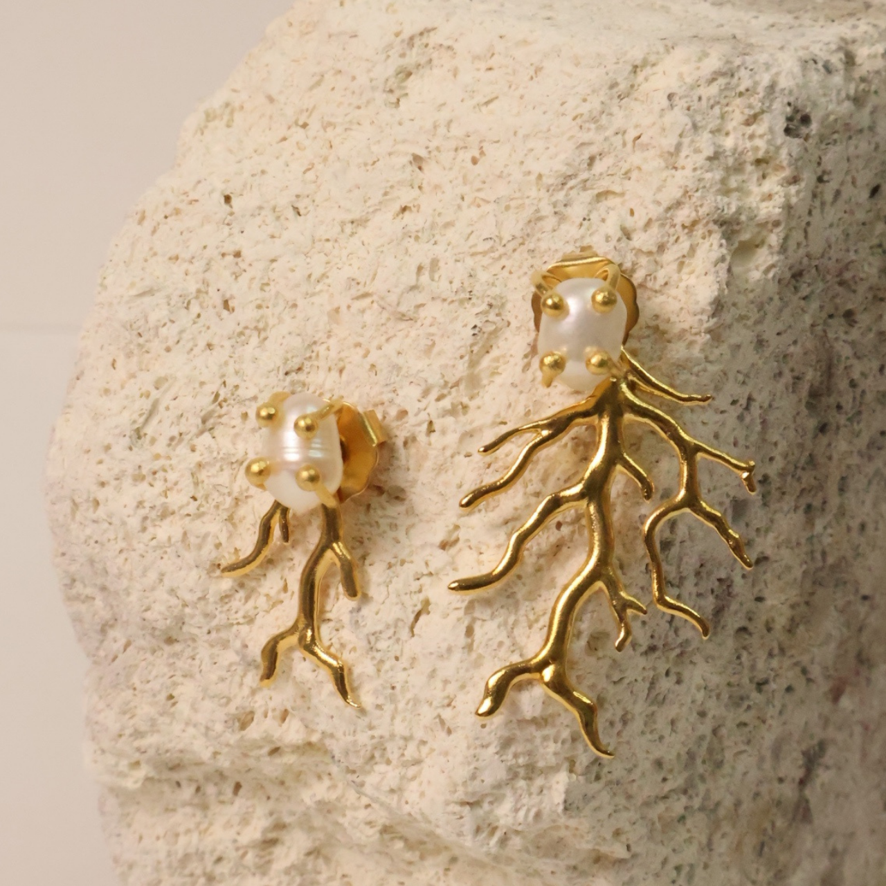 ARETES ALGA INFINITA