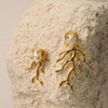 ARETES ALGA INFINITA