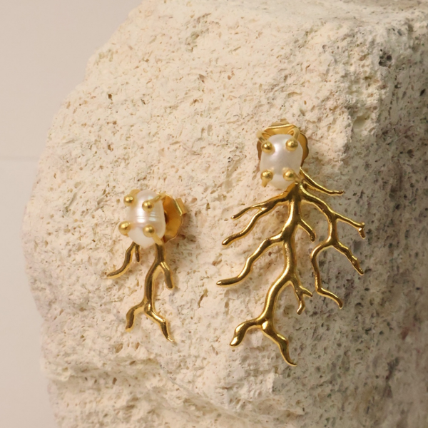ARETES ALGA INFINITA