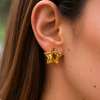 Aretes Estrella Contorno