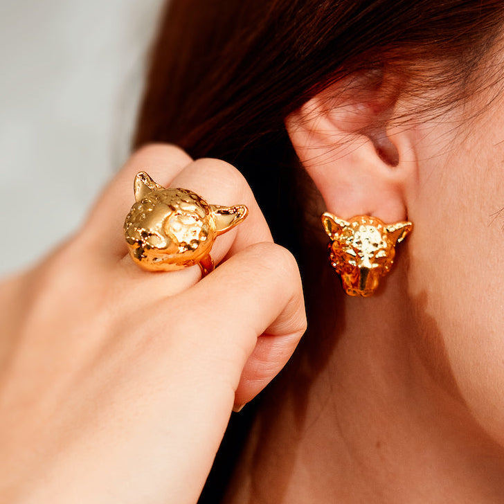 Anillos