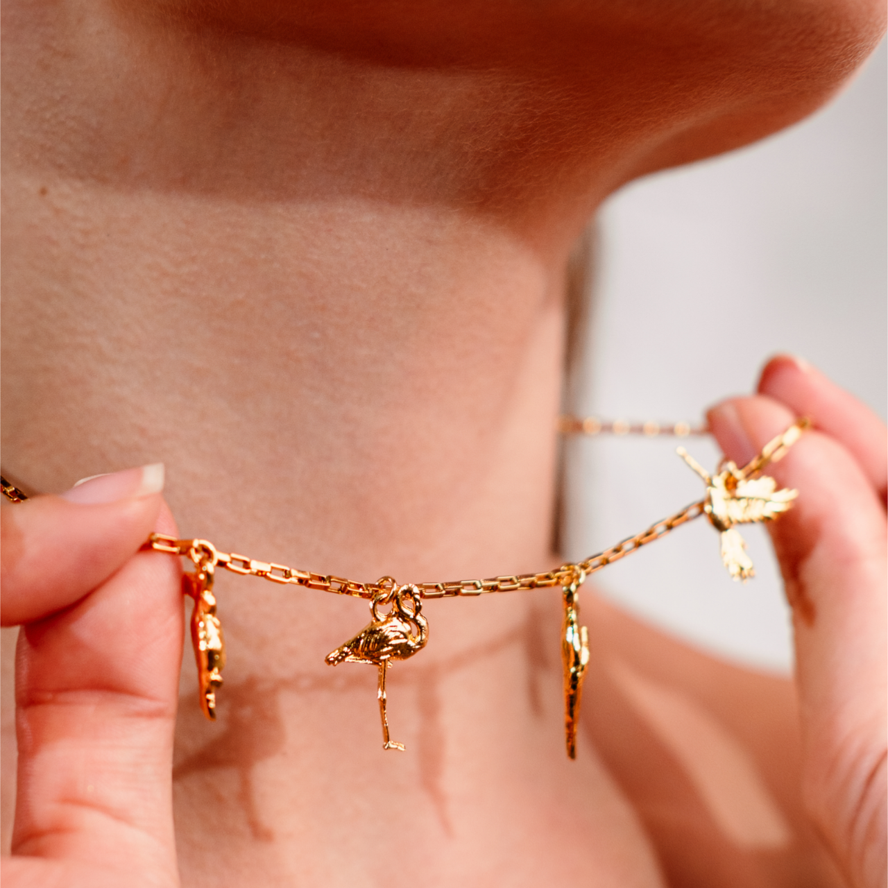 Choker Aves Latinas