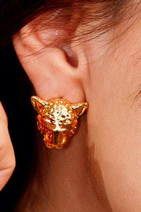 Aretes marine