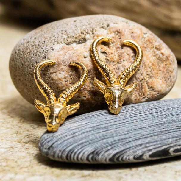 Aretes Gacela