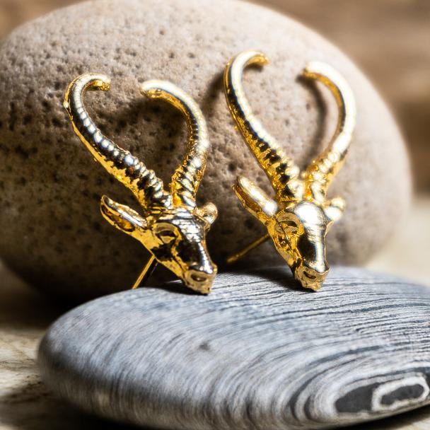 Aretes Gacela