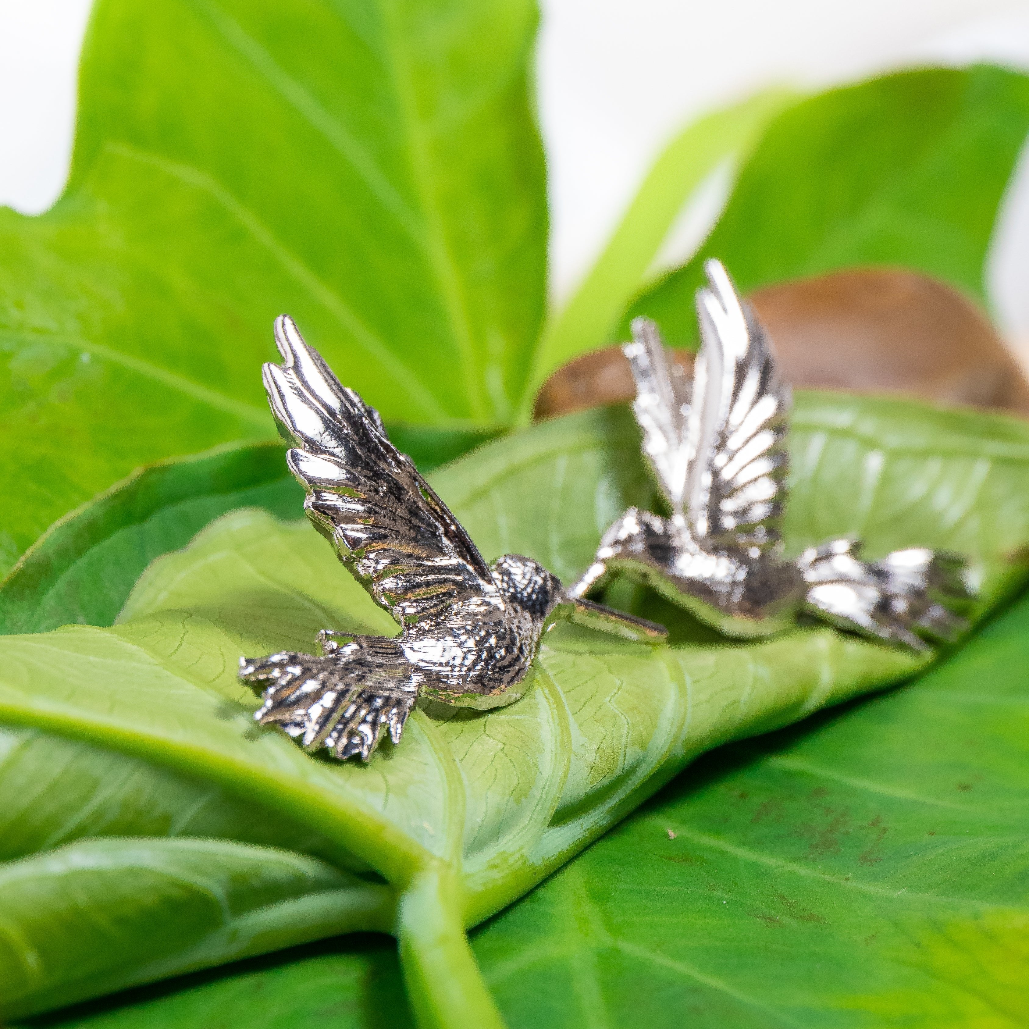 Aretes Colibri
