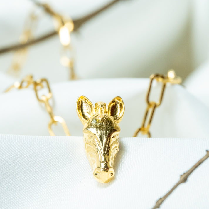 Collar Cebra