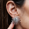 Aretes Brisa Silvestre