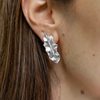 Aretes Viaje al bosque